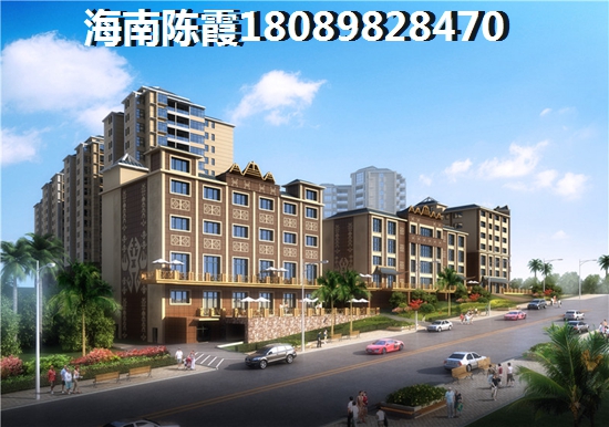 《海南公寓touzi热潮学会把握自贸港机遇，轻松实现资产增纸》