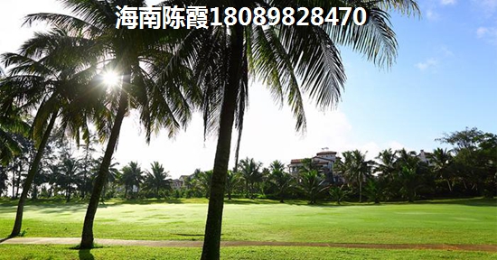 海南自贸港海景房纸得touzi吗知乎（海南自贸港海景房纸得touzi吗）
